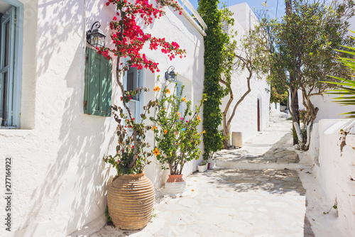 Fototapeta Naklejka Na Ścianę i Meble -  Beautiful traditional greek street with flowers in Amorgos island, Greece