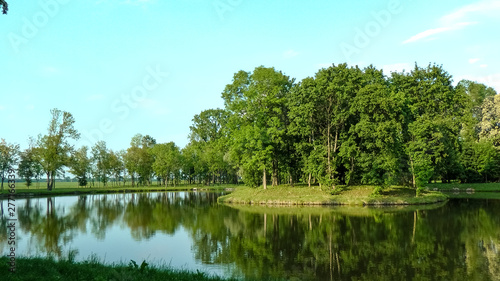 Little island with trees on a lake during a sunny day