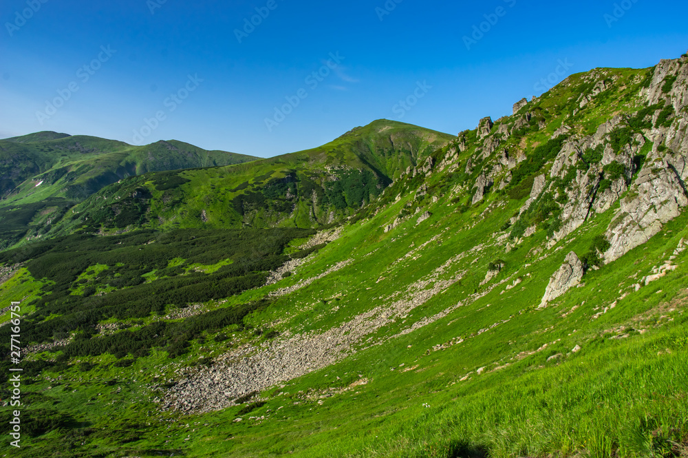 Rocks in the Carpathian mountains