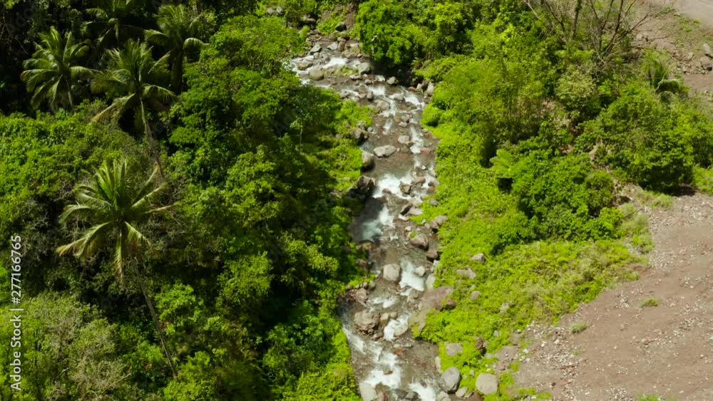 Mountain river in the rainforest through the green jungle covered with green forest and palm trees top view. River in the green forest. Camiguin, Philippines. Mountain river in the rainforest through the green jungle covered with green forest and palm trees top view. River in the green forest. Camiguin, Philippines.