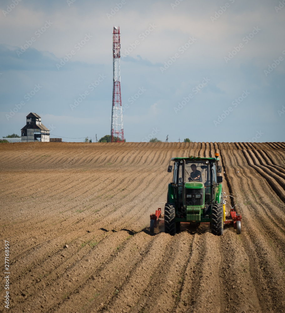 Obraz premium Agriculture business. Field of vegetables