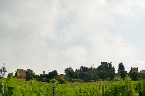Landscape of Monferrato hills where grows grapes for Barbera