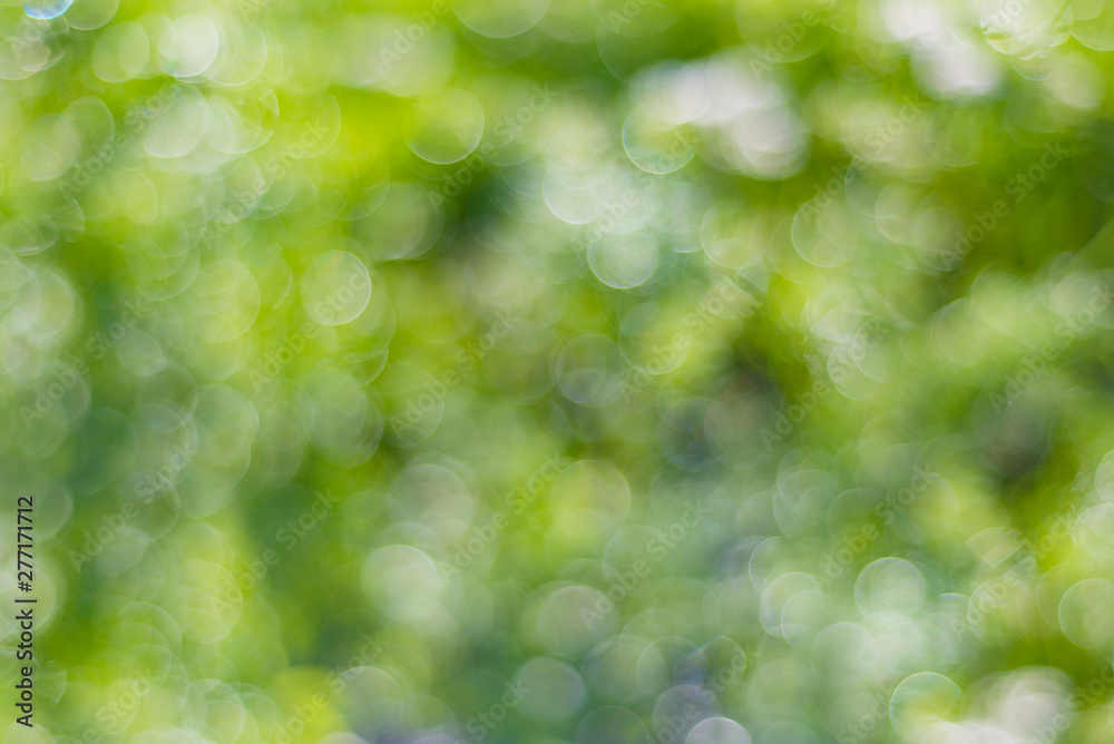 Green abstract bokeh background