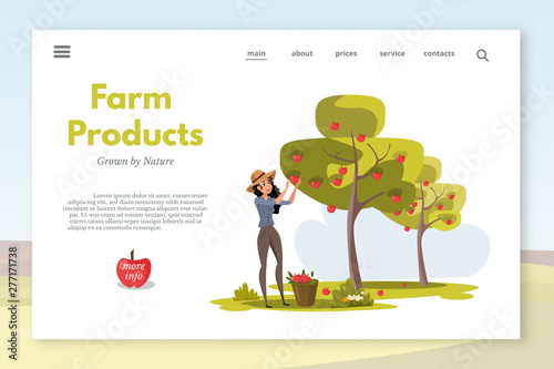 Farm products landing page layout. Woman gathers apples in bucket vector illustration