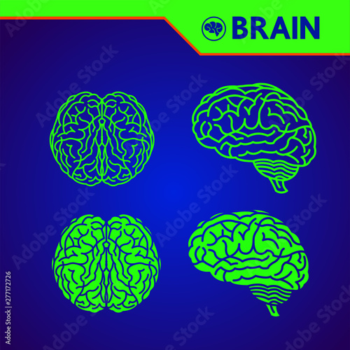 The creative human brain grand vector illustration.