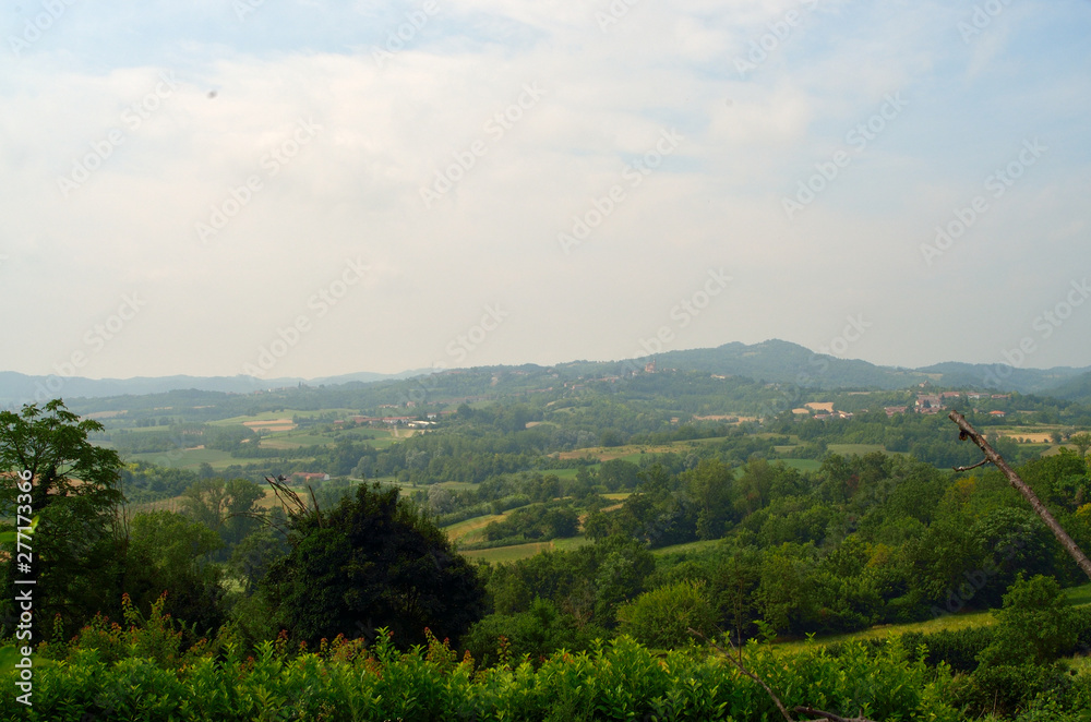 Obraz premium Landscape of Monferrato hills where grows grapes for Barbera