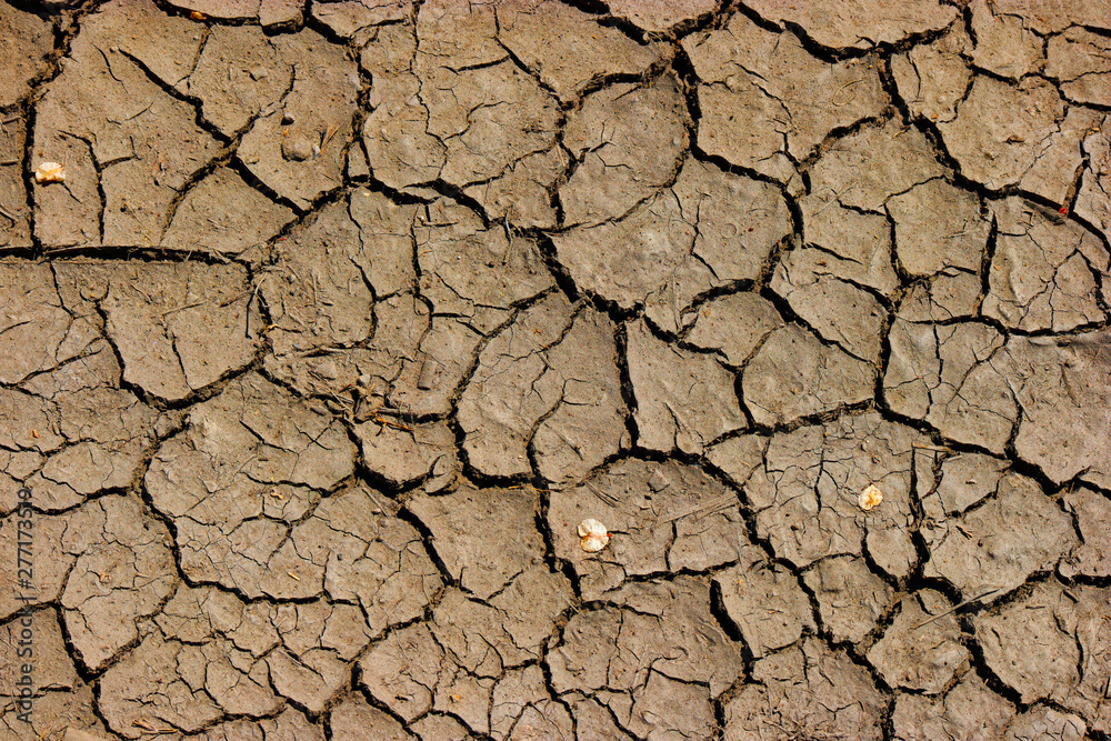Cracked soil mud - earth global warming, drought in Africa Cracked soil mud - earth global warming, drought in Africa