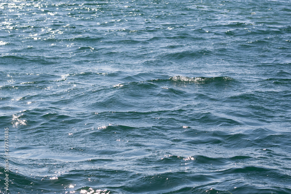 Naklejka premium waves in the sea, side view
