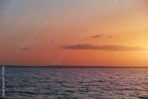 summer warm sunset at sea 