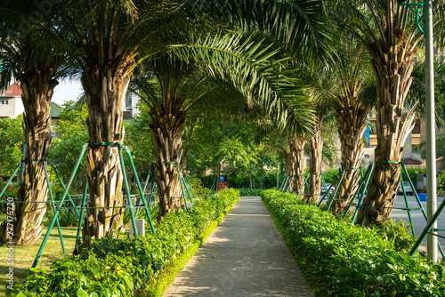 City park with path and green trees in Hanoi  Vietnam