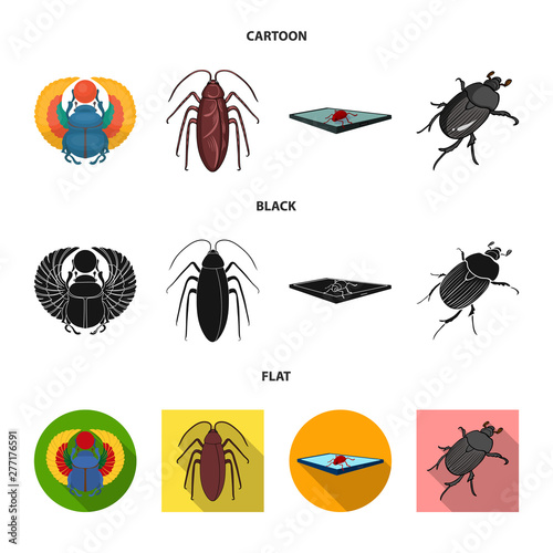 Vector illustration of insect and beetle symbol. Set of insect and halloween stock symbol for web.