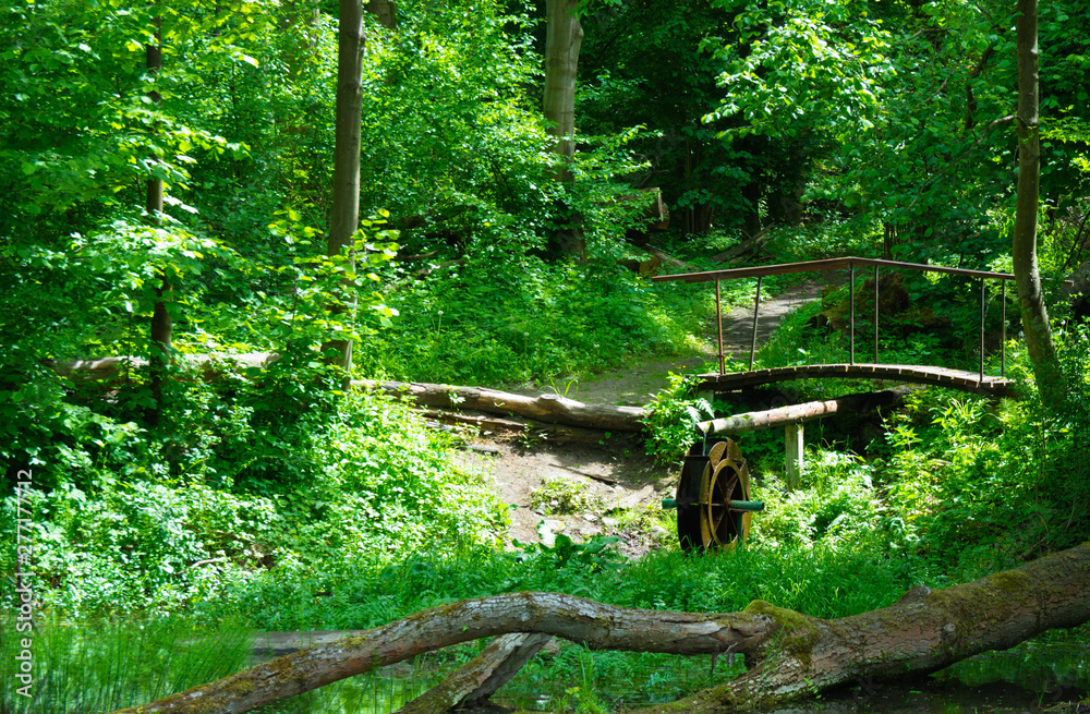 Peaceful and beautiful forest brook. Summer background. Peaceful and beautiful forest brook. Summer background.