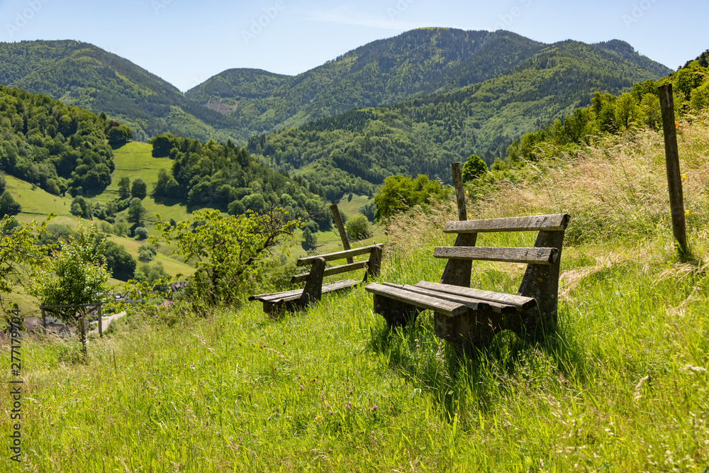 Benches on the hiking trail in the Black Forest Benches on the hiking trail in the Black Forest