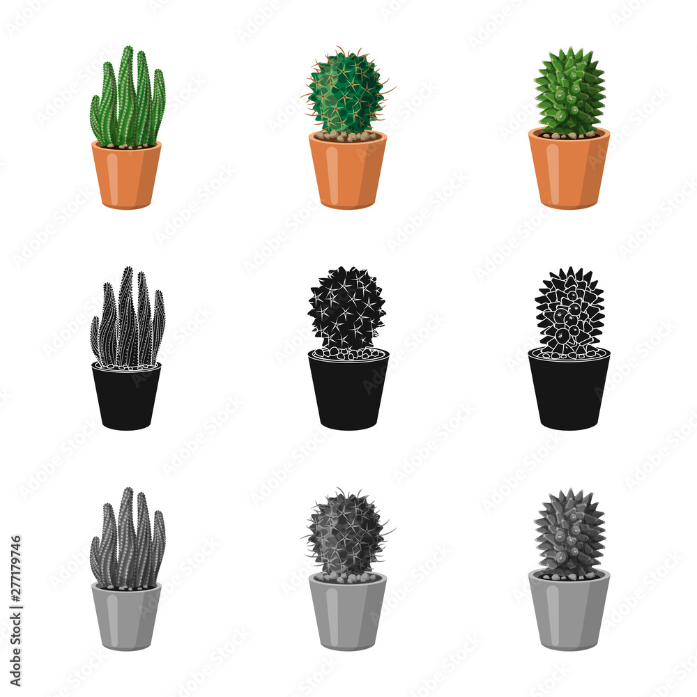 Fototapeta Vector design of cactus and pot sign. Collection of cactus and cacti stock symbol for web.