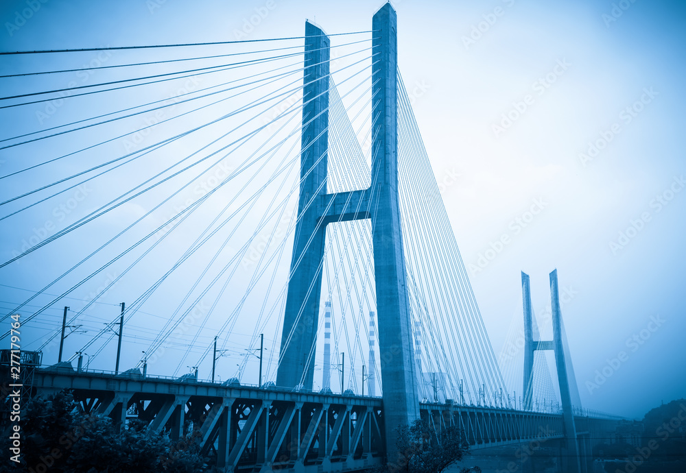 Fototapeta premium The high-speed train runs at high speed on the railway bridge. The Yangtze River Bridge of Chongqing Railway, China
