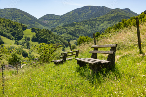 Benches on the hiking trail in the Black Forest