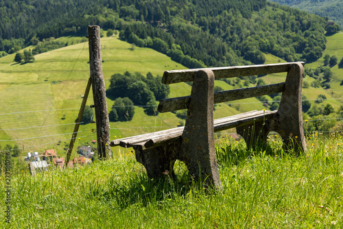 Bench on the hiking trail in the Black Forest