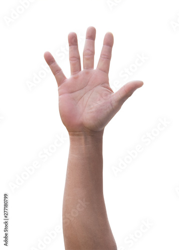 Hand palm up of man raising with five fingers isolated on white background with clipping path for vote, hi 5, help wanted, volunteer, participation, agreement