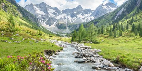 Plexiglas schilderij Eetkamer Panorama eines Wandergebietes in den Alpen mit Wildbach und Gletscher im Hintergrund  © by paul