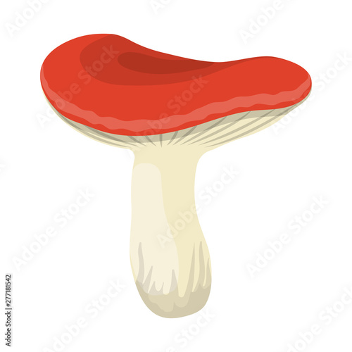Vector illustration of mushroom and russula logo. Collection of mushroom and summer stock vector illustration.