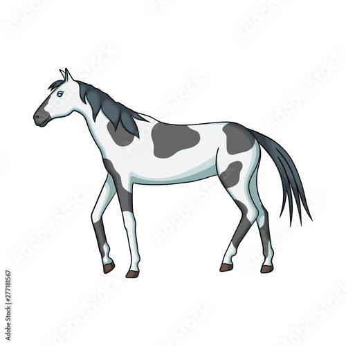 Vector design of horse and dapple logo. Set of horse and fauna stock symbol for web.