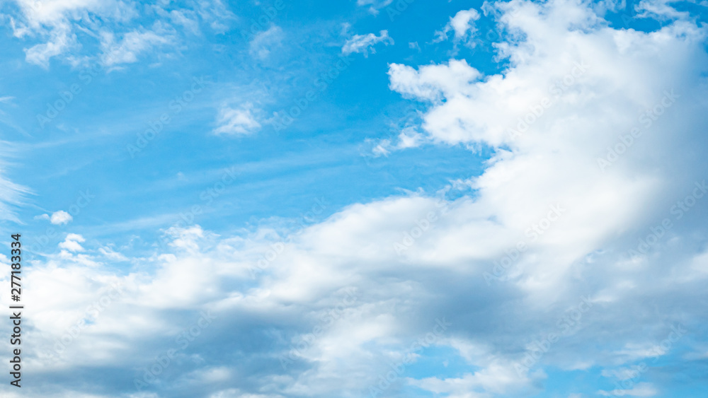 Fototapeta premium 青空・雲