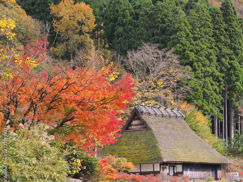 かやぶき民家と紅葉