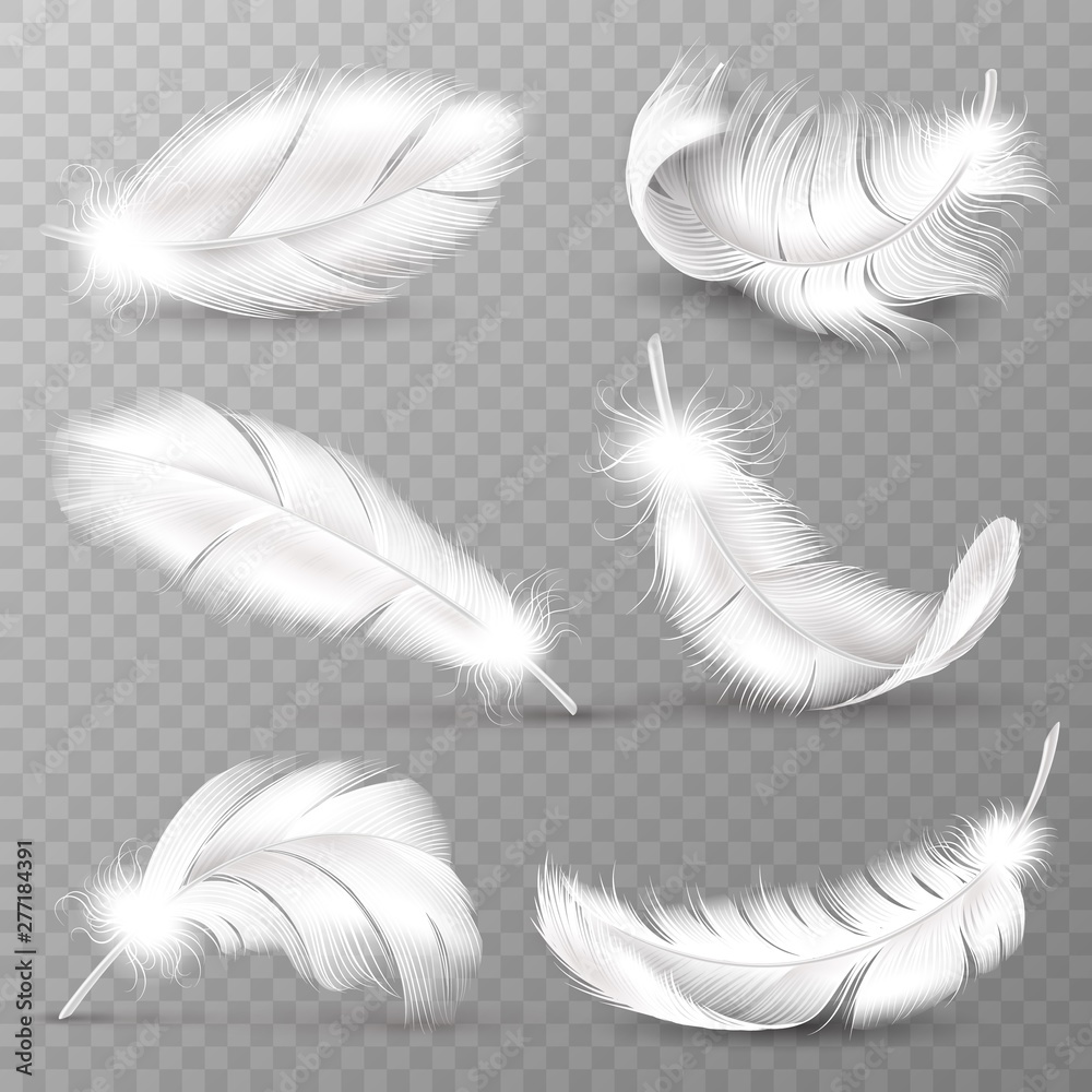 Realistic white feathers. Birds plumage, falling fluffy twirled feather,  flying angel wings feathers. Realistic isolated vector set Stock Vector