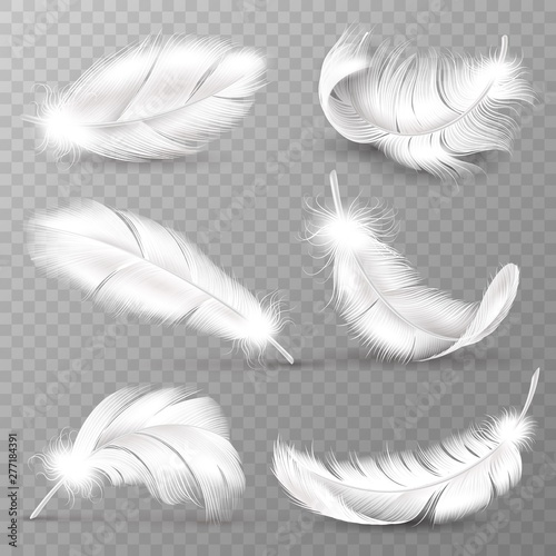 Obraz na płótnie Realistic white feathers