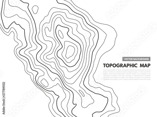 Contour line map. Topographical relief outline  cartography texture geographic world mapping grid terrain trails  vector background