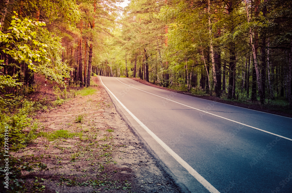 Fototapeta premium A winding mountain road at sunset in a pine forest. Serpentine. Sun rays light and shadow sun