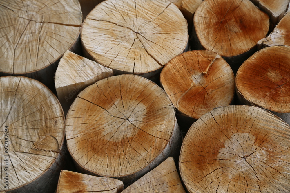 wood cut and background wood cut and background