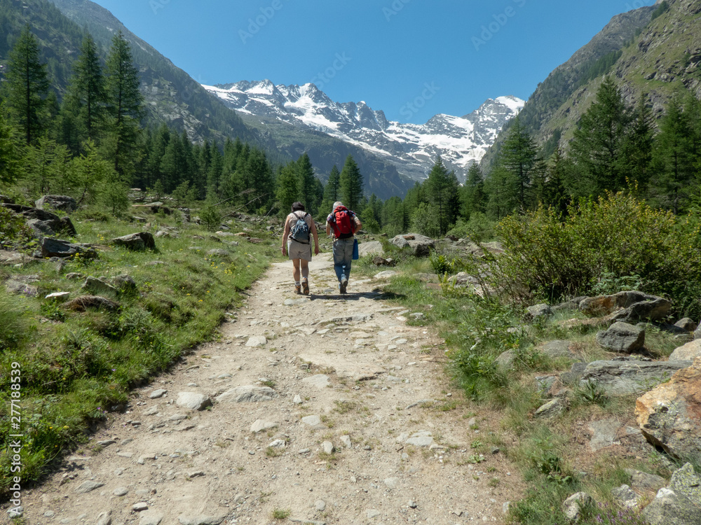 Italia valle D'Aosta, Parco Gran Paradiso, valle di Cogne