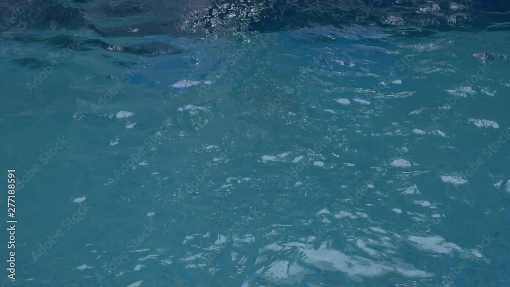 custom made wallpaper toronto digitalthe guy is swimming in the pool