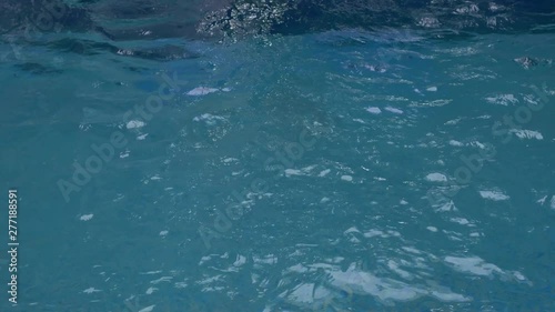 Wallpaper Mural the guy is swimming in the pool Torontodigital.ca