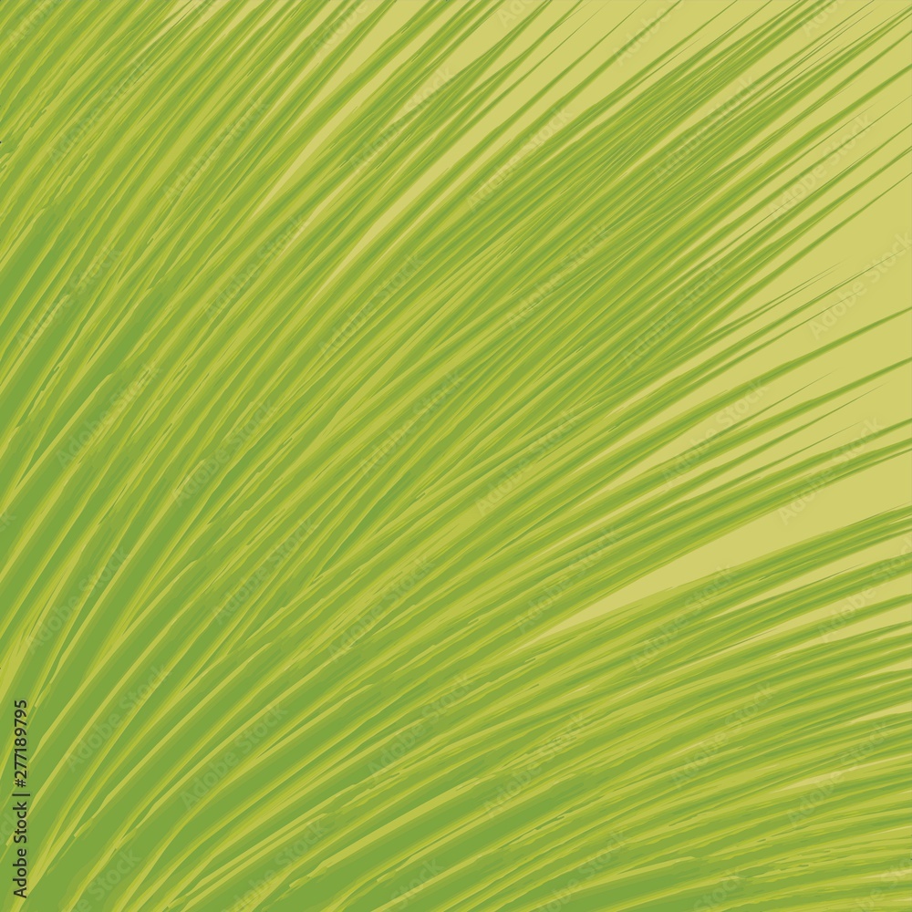 green leaf of palm tree green leaf of palm tree