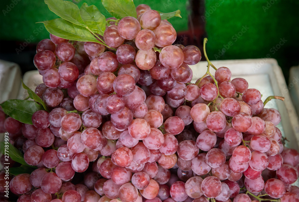 Fototapeta premium Close up red grape on the shelf in fresh market. healthy fruits for anti oxidant. image for background, wallpaper and copy space.