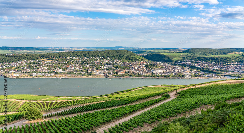 Blick vom Niederwalddenkmal auf Bingen im Rheintal
