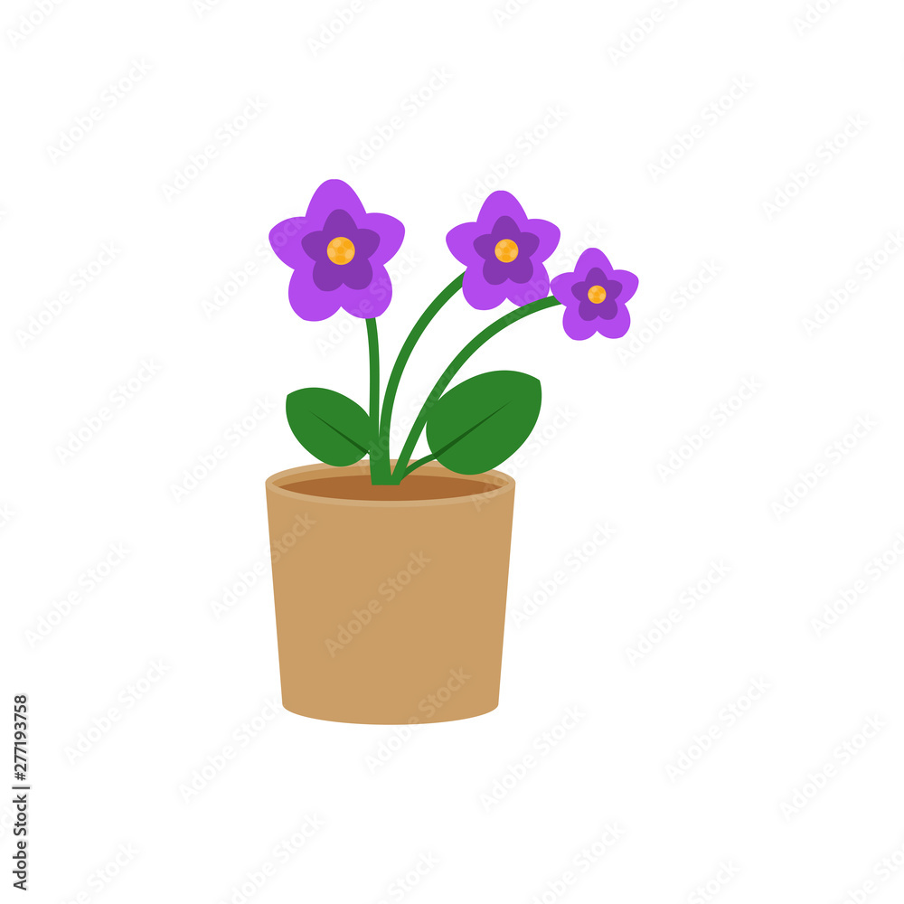 Violet flower in a pot flat icon, indoor plant, flower vector illustration isolated on white background