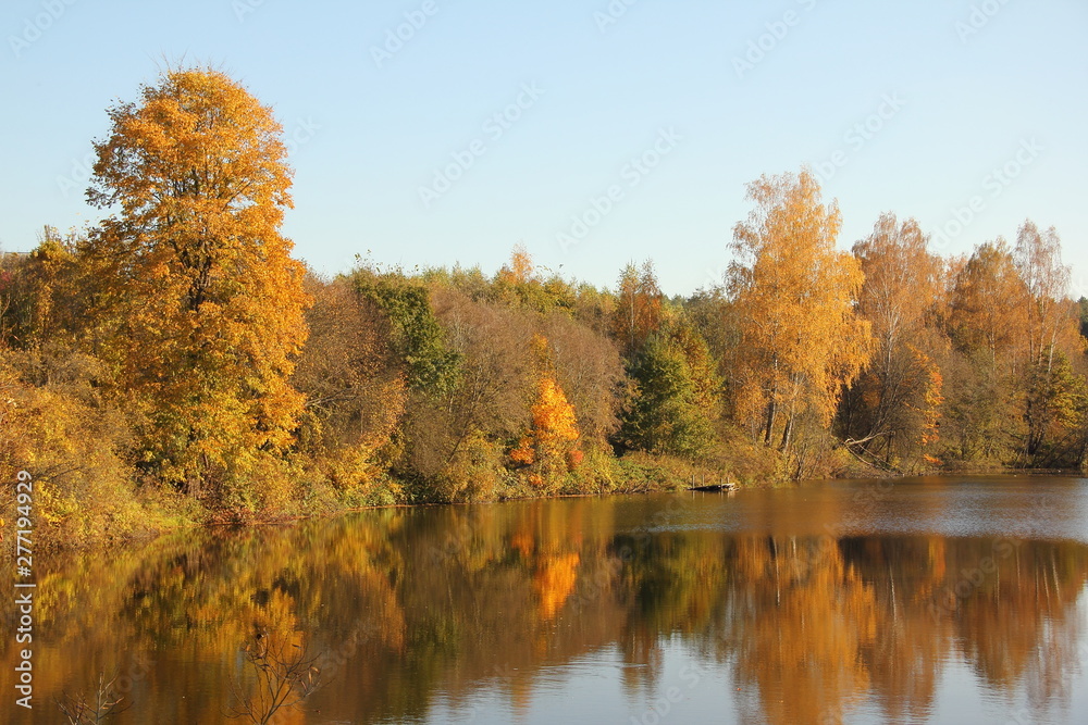 Autumn water landscape, yellowed leaves on the banks of a calm river reflected in the water