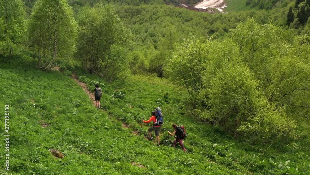 Three tourists with backpacks and trekking poles walk on beautiful green slope. Family holiday. Man hiking with child in hiking carrying. Mountain stream flows down hillside into gorge