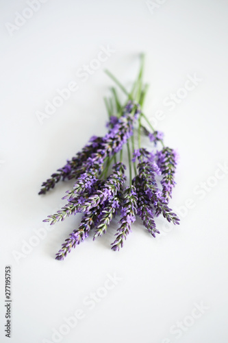 Strau   von Lavendel