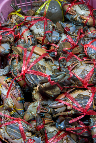 Fresh crabs in seafood market. arthropod phylum. armature and claw concept. Fresh sea crab that are bound and prepare to sell in fresh market. Fresh Crabs tie with rope. sea food. In the Thai market.