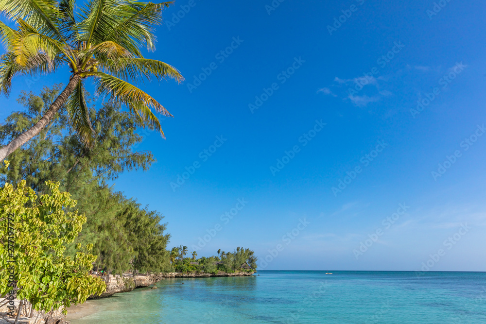Naklejka premium coastline beach seaside of Kizimkazi in Unguja aka Zanzibar Island Tanzania East Africa