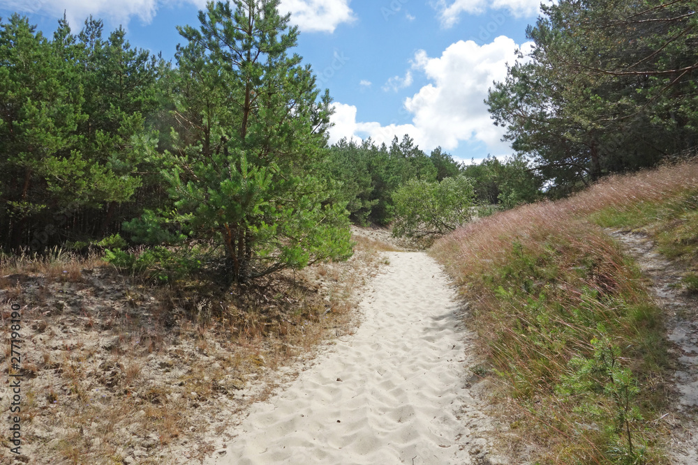 Sand beach of the Curonian Spit (Kurshskaya Kosa) National Park near Morskoe village. Kaliningad region, Russia. Sand beach of the Curonian Spit (Kurshskaya Kosa) National Park near Morskoe village. Kaliningad region, Russia.