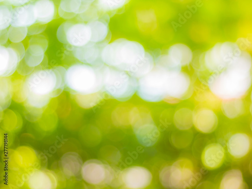 green nature ligth background  abstract green bokeh  blur