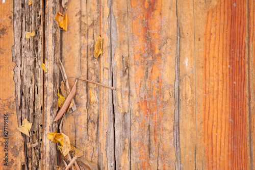 Orange wood texture background surface with old natural pattern and leaves