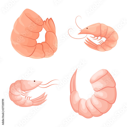 Vector design of shrimp and crab symbol. Set of shrimp and sea stock symbol for web.