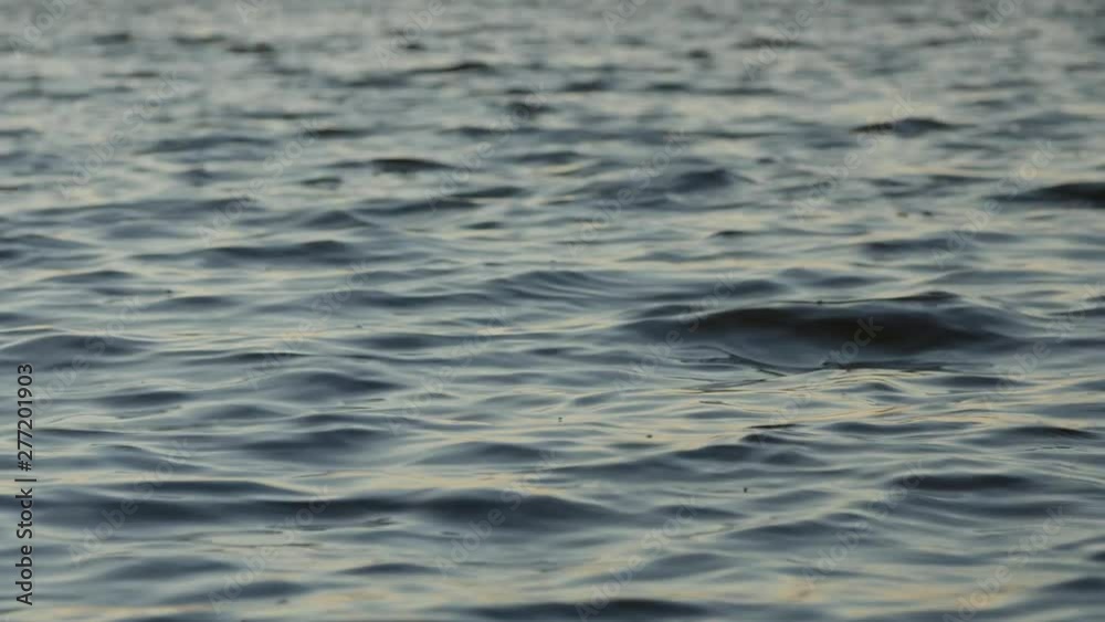 The peaceful water surface in a lake with small waves.Background footage, low depth of field. Real-time. The peaceful water surface in a lake with small waves.Background footage, low depth of field. Real-time.