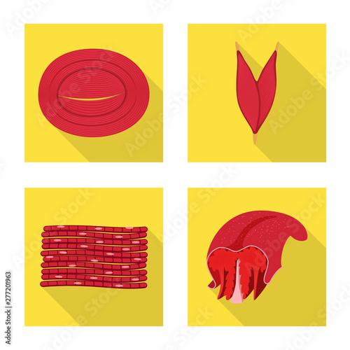 Isolated object of muscle and cells symbol. Collection of muscle and anatomy stock vector illustration.